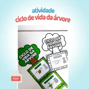🌳🌱 Atividade Ciclo de Vida da Árvore